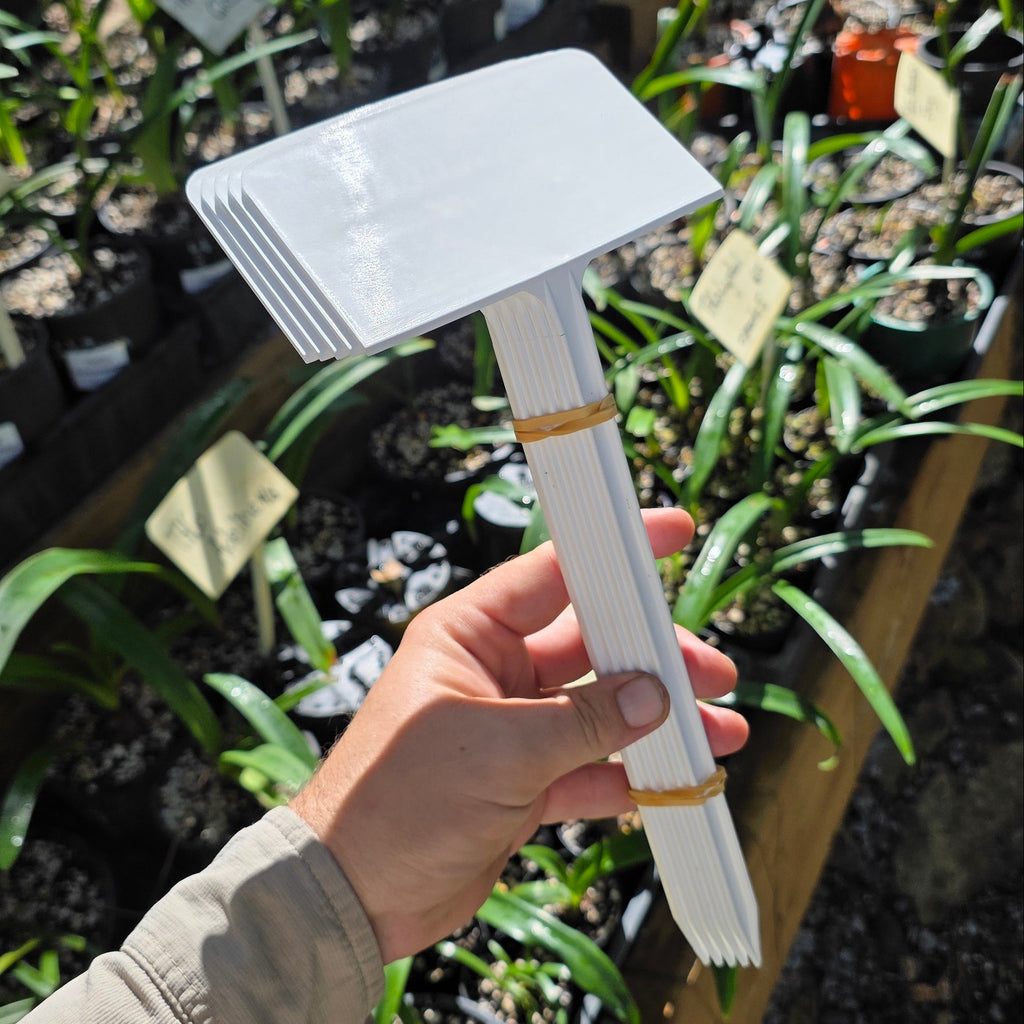 THCo Nursery Label Hippeastrum 5